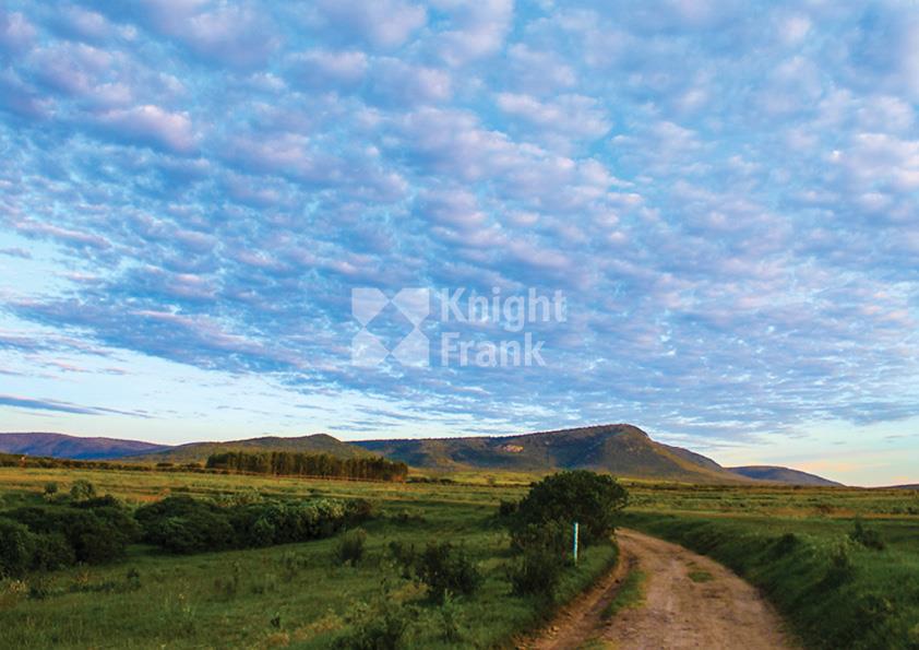 Коммерческая земля Naretoi, Enonkishu Conservancy, Maasai Mara