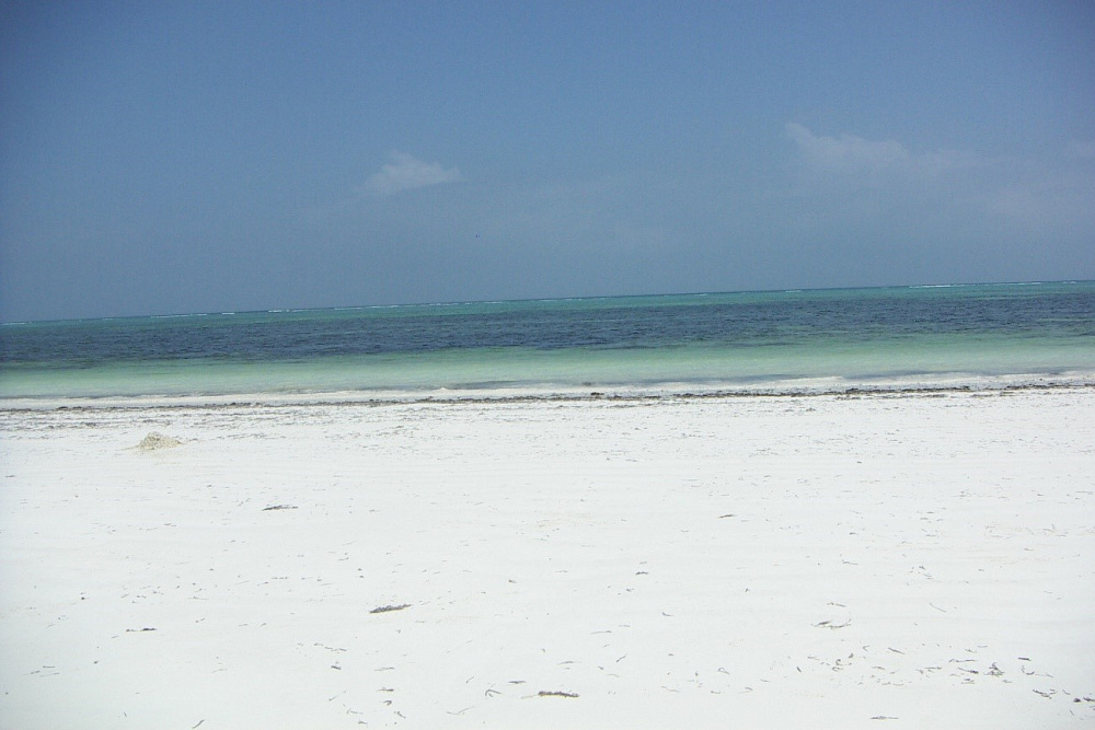 Коммерческая земля Zanzibar