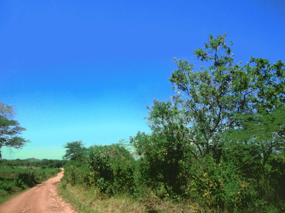 Коммерческая земля Off Leopards Hill Road, Leopards Hill, Lusaka