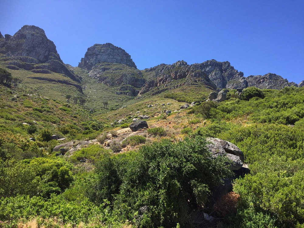 Коммерческая земля Cape Town, Camps Bay