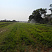 Ферма Rowan Farm,
Lusaka