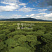 Коммерческая земля Naretoi, Enonkishu Conservancy, Maasai Mara